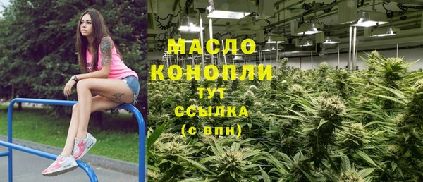 индика Гусь-Хрустальный