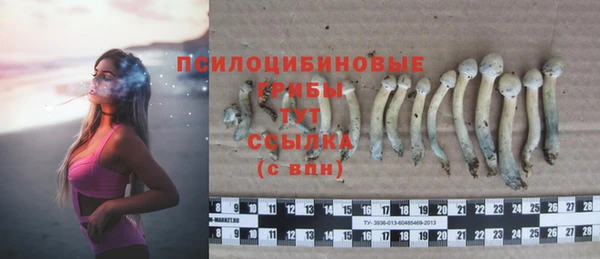 индика Гусь-Хрустальный
