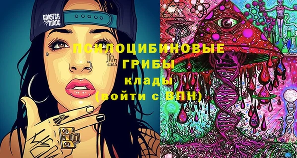 индика Гусь-Хрустальный