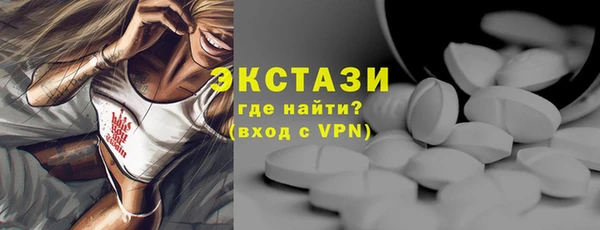 индика Гусь-Хрустальный