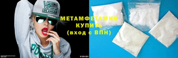 индика Гусь-Хрустальный