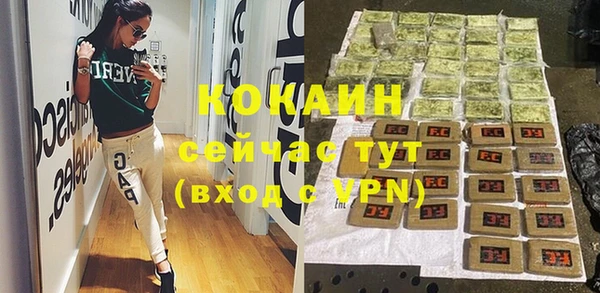 индика Гусь-Хрустальный