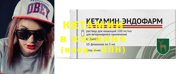 индика Гусь-Хрустальный
