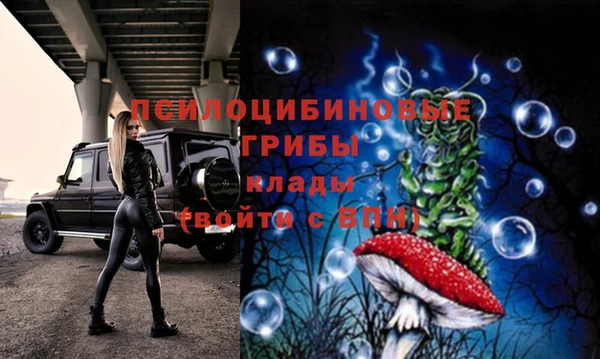 индика Гусь-Хрустальный