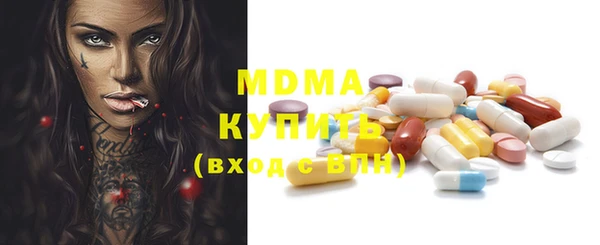 индика Гусь-Хрустальный