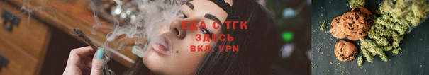 индика Гусь-Хрустальный