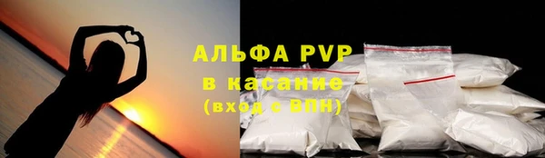 молекула духа Гусиноозёрск