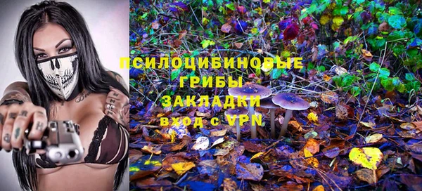 индика Гусь-Хрустальный