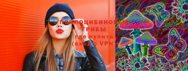 Альфа ПВП Гусев