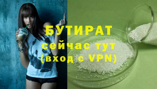 индика Гусь-Хрустальный