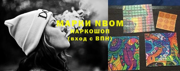 молекула духа Гусиноозёрск