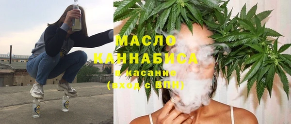 молекула духа Гусиноозёрск
