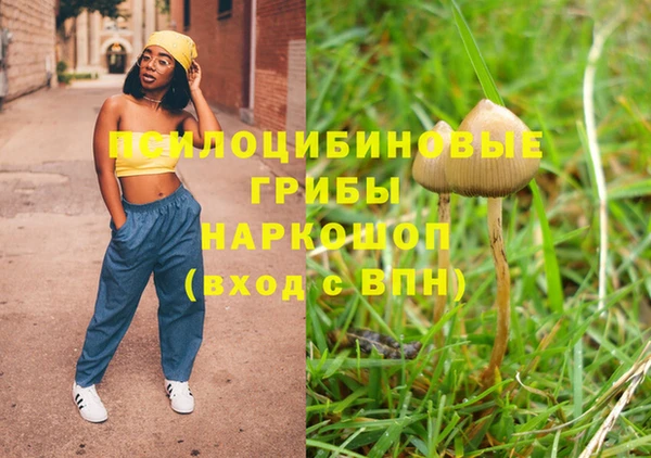 Альфа ПВП Гусев