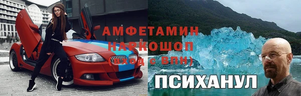 индика Гусь-Хрустальный