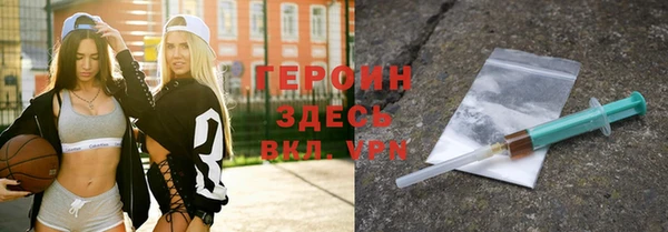 индика Гусь-Хрустальный