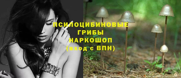 индика Гусь-Хрустальный
